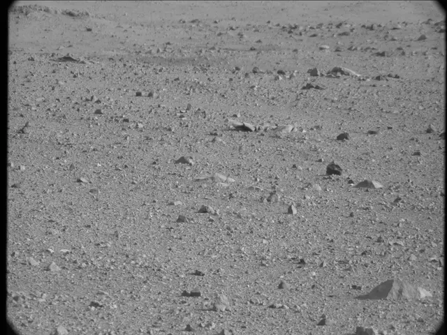 Sol 19: Mast Camera (Mastcam)