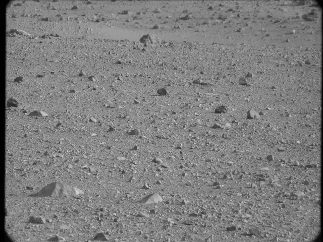 Sol 19: Mast Camera (Mastcam)