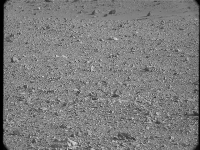 Sol 19: Mast Camera (Mastcam)
