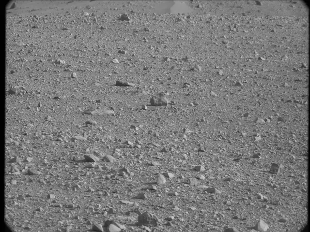 Sol 19: Mast Camera (Mastcam)