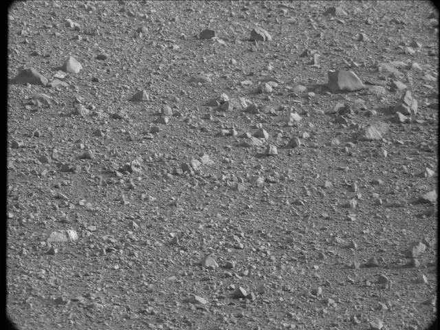 Sol 19: Mast Camera (Mastcam)