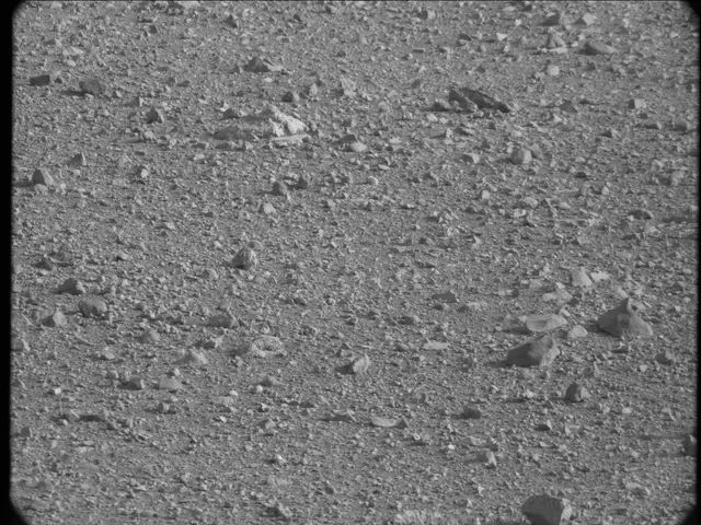 Sol 19: Mast Camera (Mastcam)