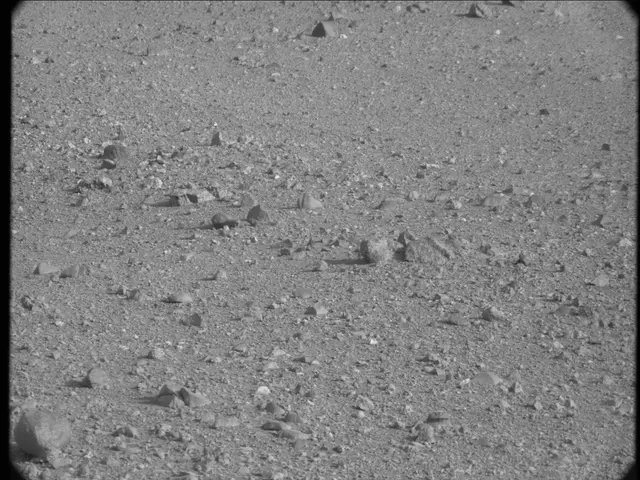 Sol 19: Mast Camera (Mastcam)
