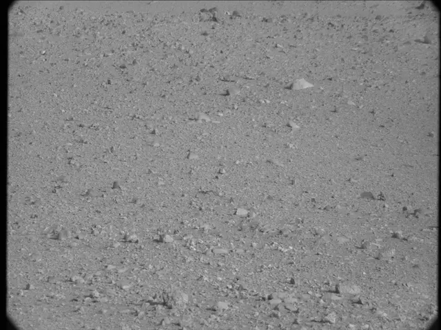Sol 19: Mast Camera (Mastcam)