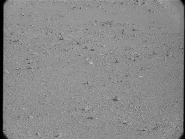 Sol 19: Mast Camera (Mastcam)