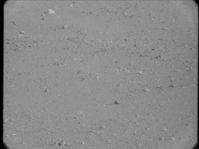 Sol 19: Mast Camera (Mastcam)
