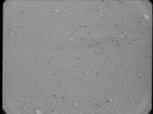 Sol 19: Mast Camera (Mastcam)