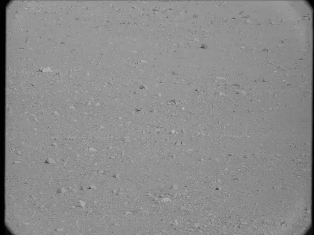 Sol 19: Mast Camera (Mastcam)
