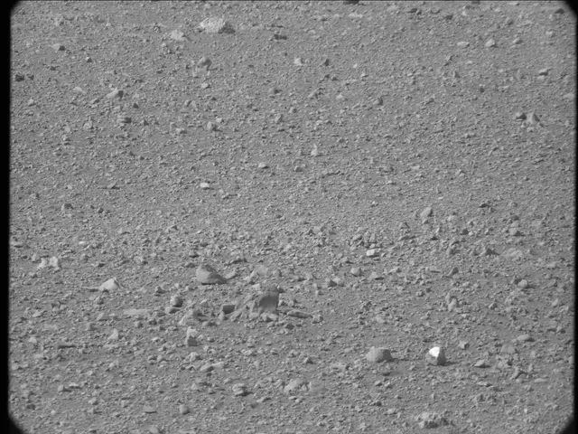 Sol 19: Mast Camera (Mastcam)