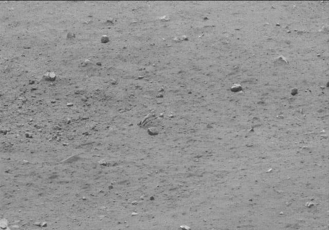 Sol 20: Mast Camera (Mastcam)