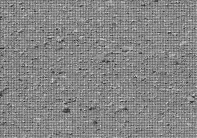 Sol 20: Mast Camera (Mastcam)