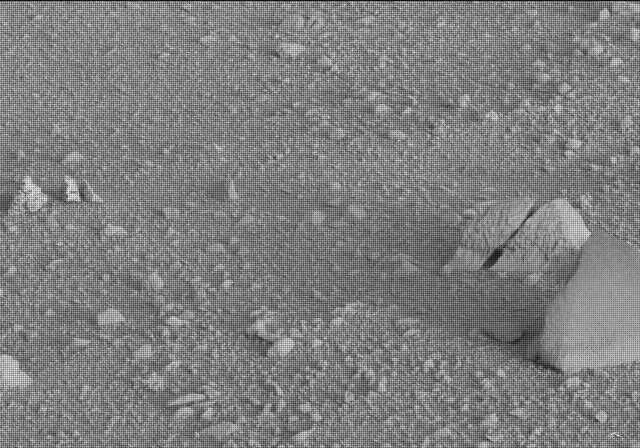 Sol 20: Mast Camera (Mastcam)