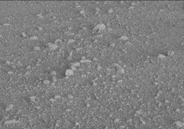 Sol 20: Mast Camera (Mastcam)
