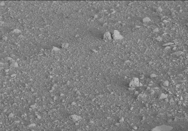 Sol 20: Mast Camera (Mastcam)