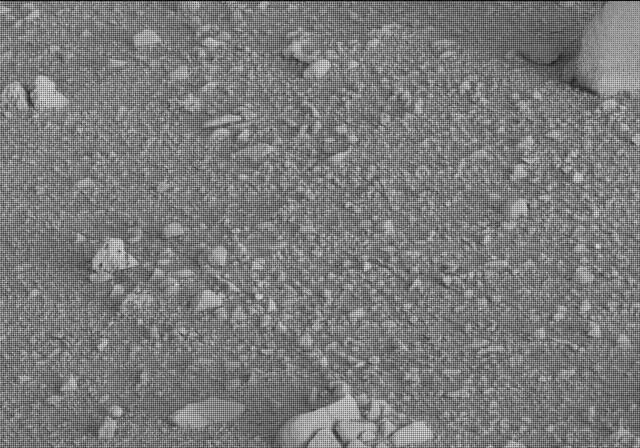 Sol 20: Mast Camera (Mastcam)
