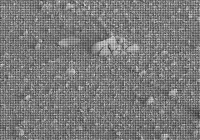 Sol 20: Mast Camera (Mastcam)