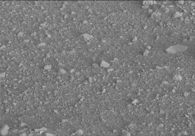 Sol 20: Mast Camera (Mastcam)