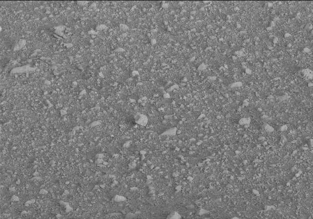 Sol 20: Mast Camera (Mastcam)