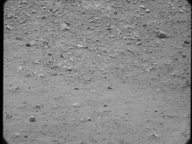 Sol 20: Mast Camera (Mastcam)