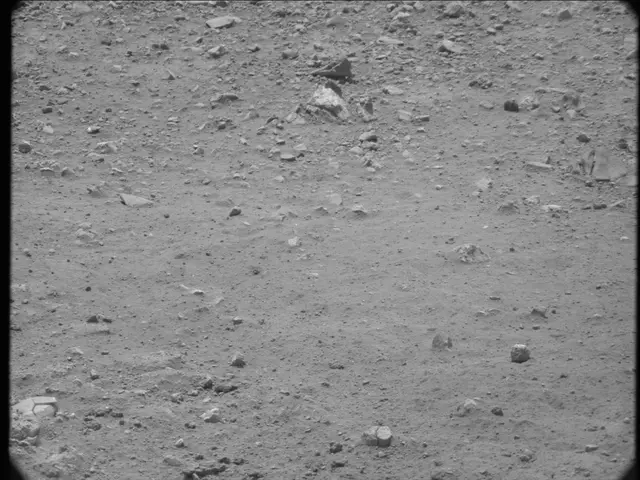 Sol 20: Mast Camera (Mastcam)
