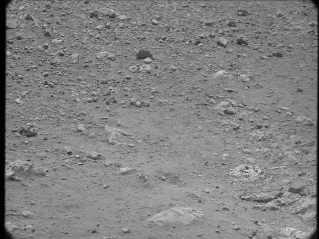 Sol 20: Mast Camera (Mastcam)