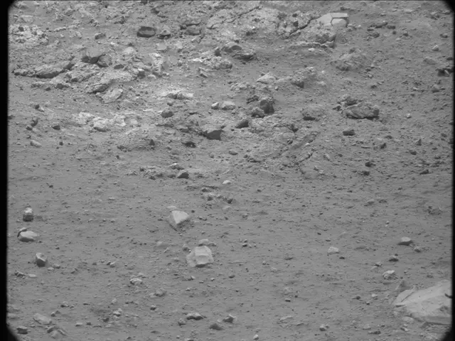 Sol 20: Mast Camera (Mastcam)