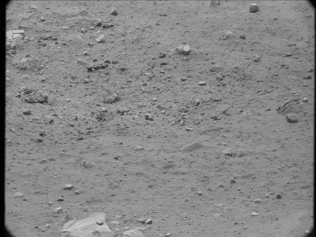 Sol 20: Mast Camera (Mastcam)