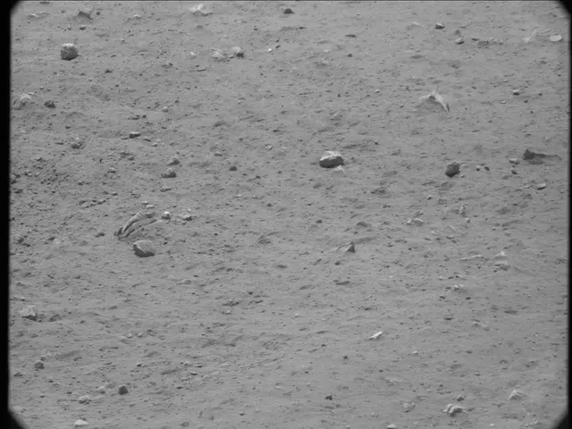 Sol 20: Mast Camera (Mastcam)