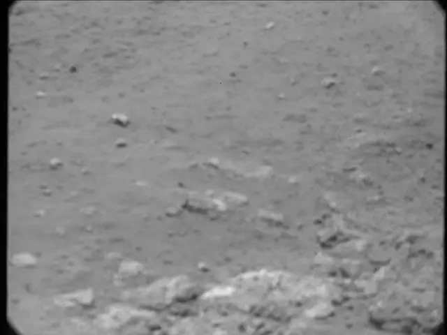 Sol 20: Mast Camera (Mastcam)
