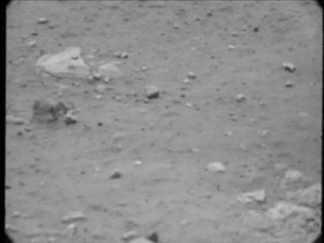 Sol 20: Mast Camera (Mastcam)