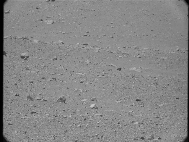 Sol 20: Mast Camera (Mastcam)