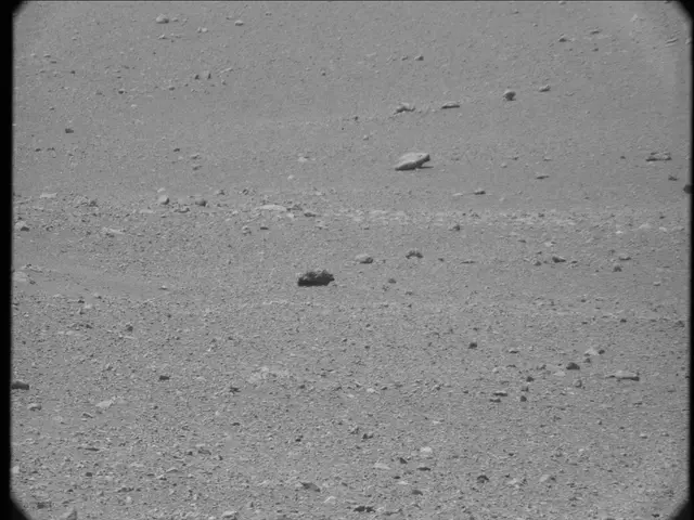 Sol 20: Mast Camera (Mastcam)