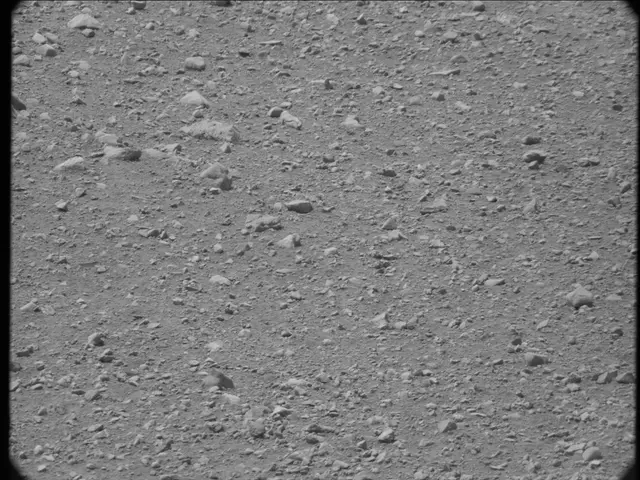 Sol 20: Mast Camera (Mastcam)