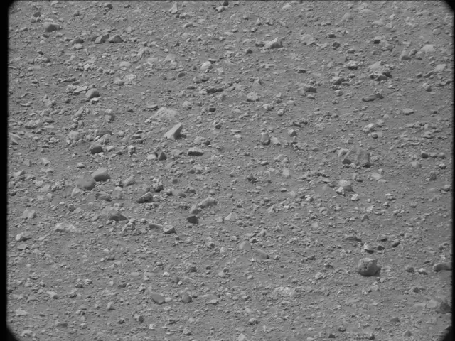 Sol 20: Mast Camera (Mastcam)