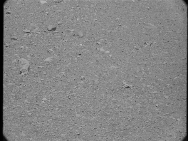 Sol 20: Mast Camera (Mastcam)