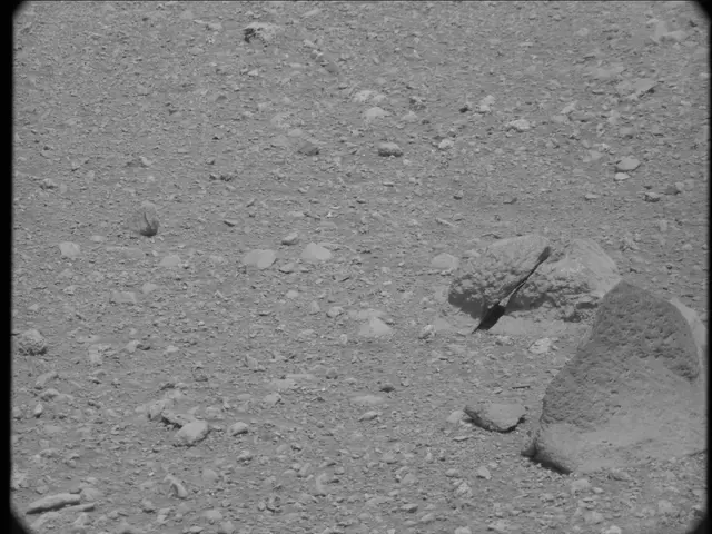 Sol 20: Mast Camera (Mastcam)