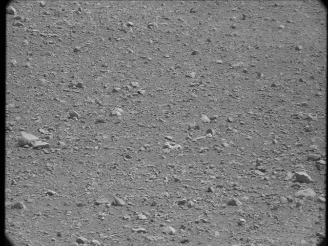 Sol 20: Mast Camera (Mastcam)