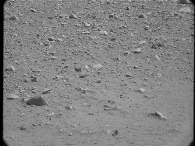 Sol 20: Mast Camera (Mastcam)