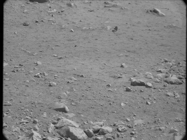 Sol 20: Mast Camera (Mastcam)