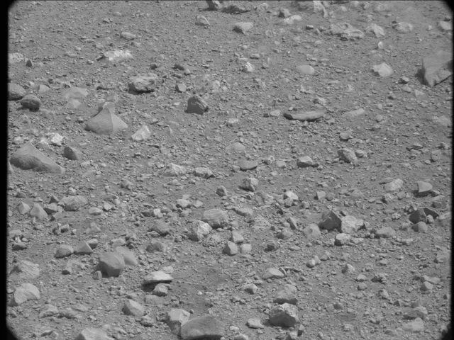 Sol 20: Mast Camera (Mastcam)