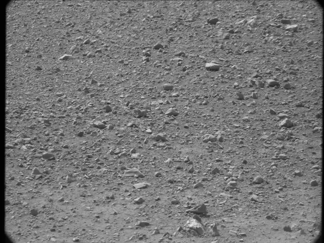 Sol 20: Mast Camera (Mastcam)