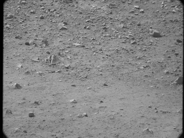 Sol 20: Mast Camera (Mastcam)