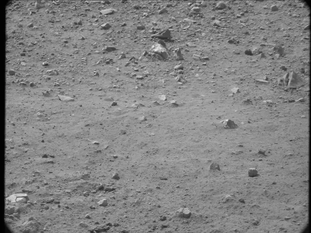 Sol 20: Mast Camera (Mastcam)