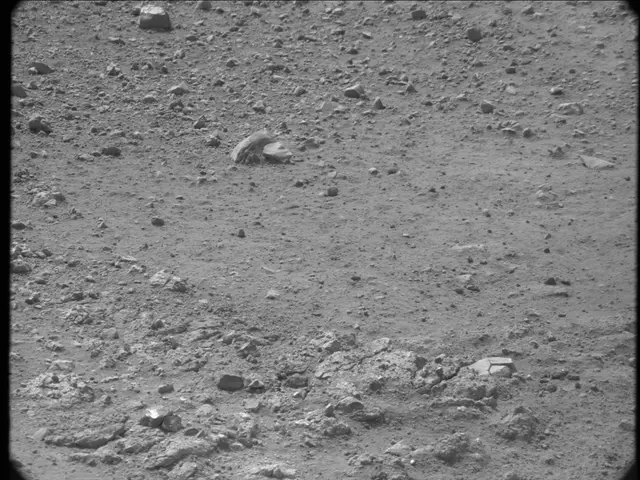Sol 20: Mast Camera (Mastcam)