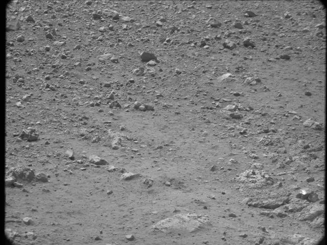 Sol 20: Mast Camera (Mastcam)