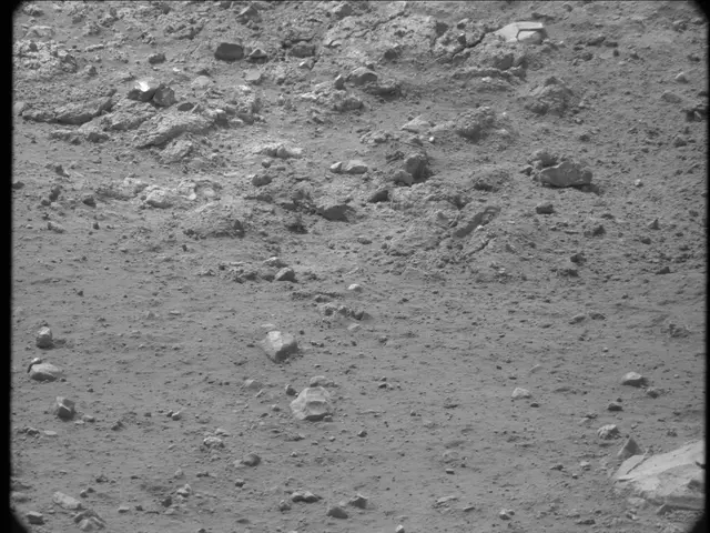 Sol 20: Mast Camera (Mastcam)