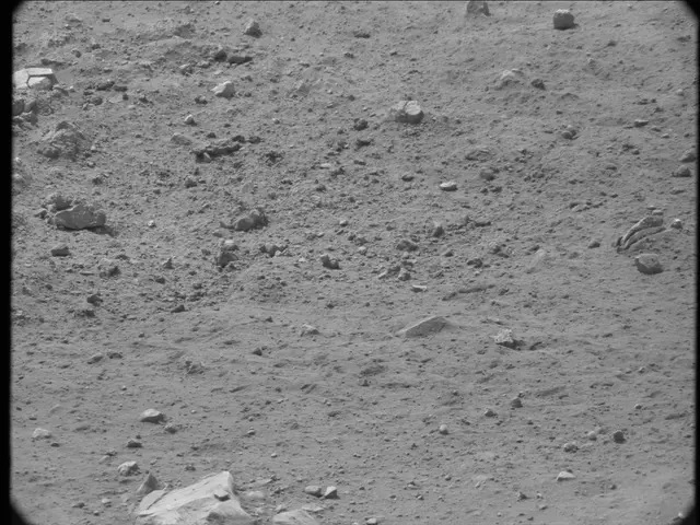 Sol 20: Mast Camera (Mastcam)