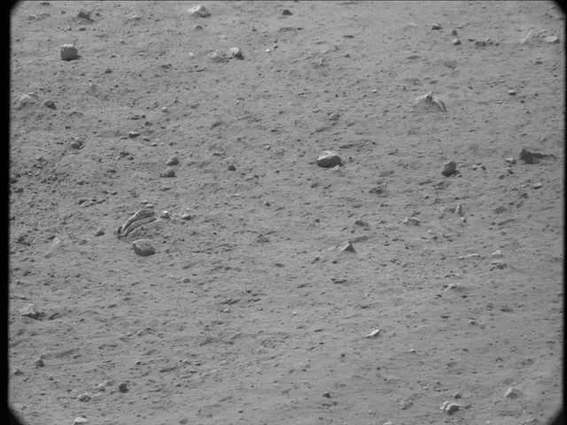 Sol 20: Mast Camera (Mastcam)