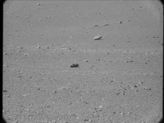 Sol 20: Mast Camera (Mastcam)