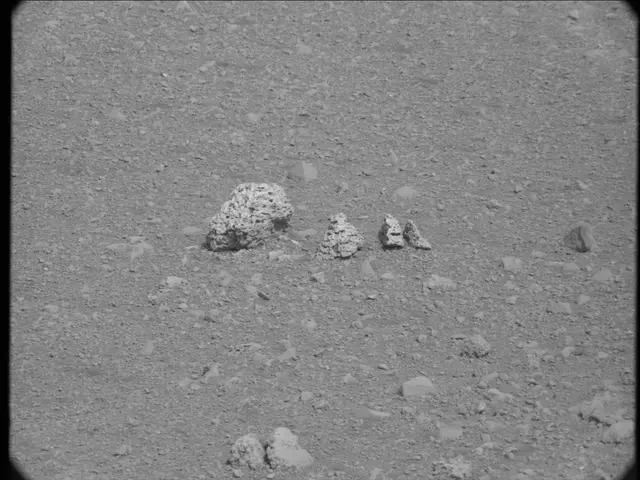 Sol 20: Mast Camera (Mastcam)